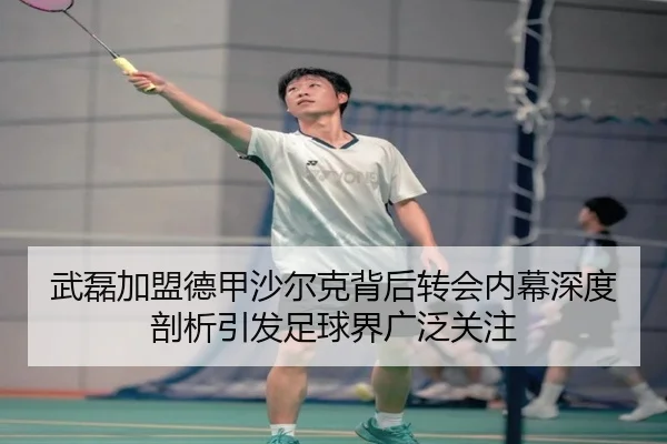 武磊加盟德甲沙尔克背后转会内幕深度剖析引发足球界广泛关注